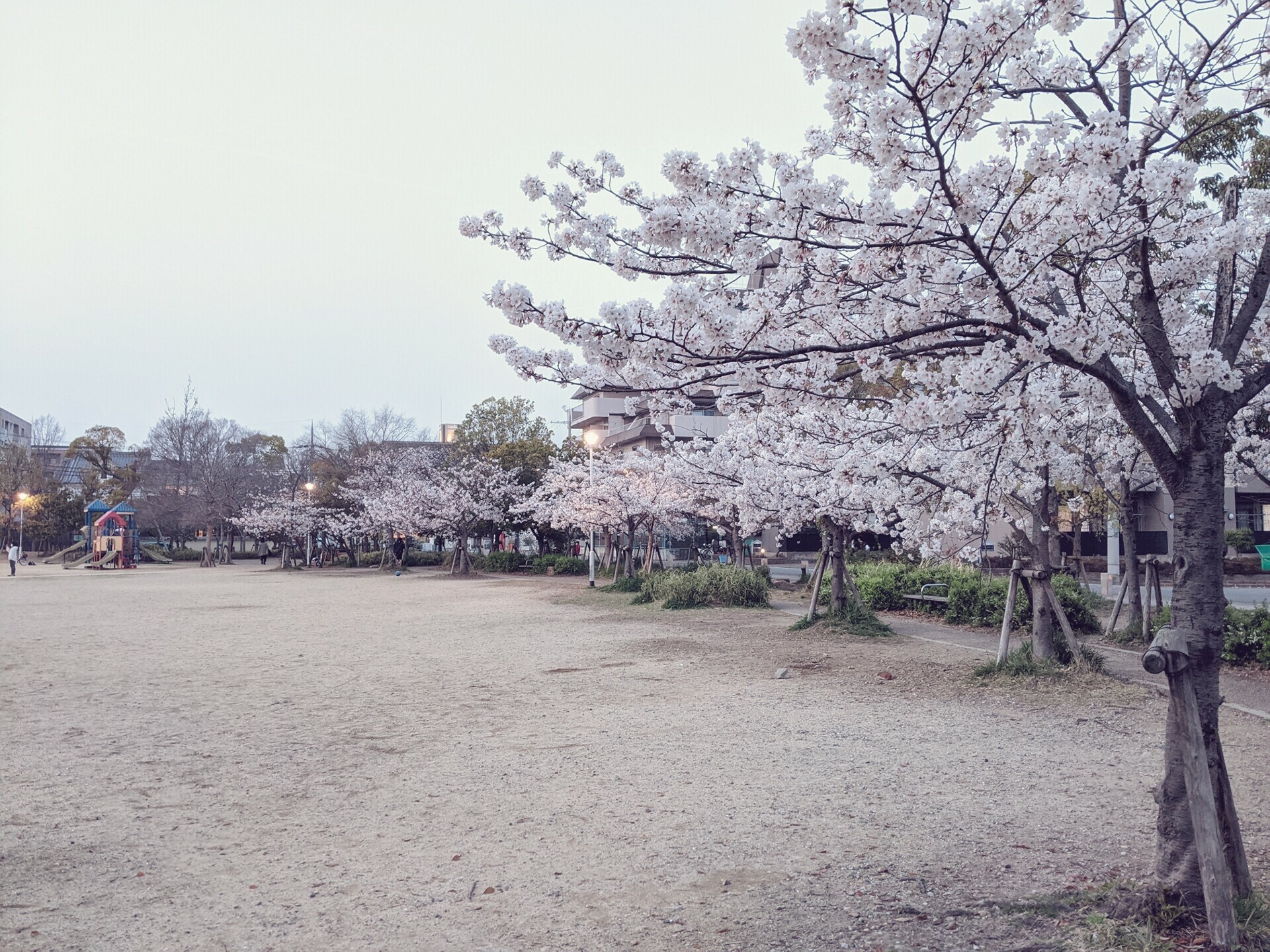 beautyplus_20210330174620795_save