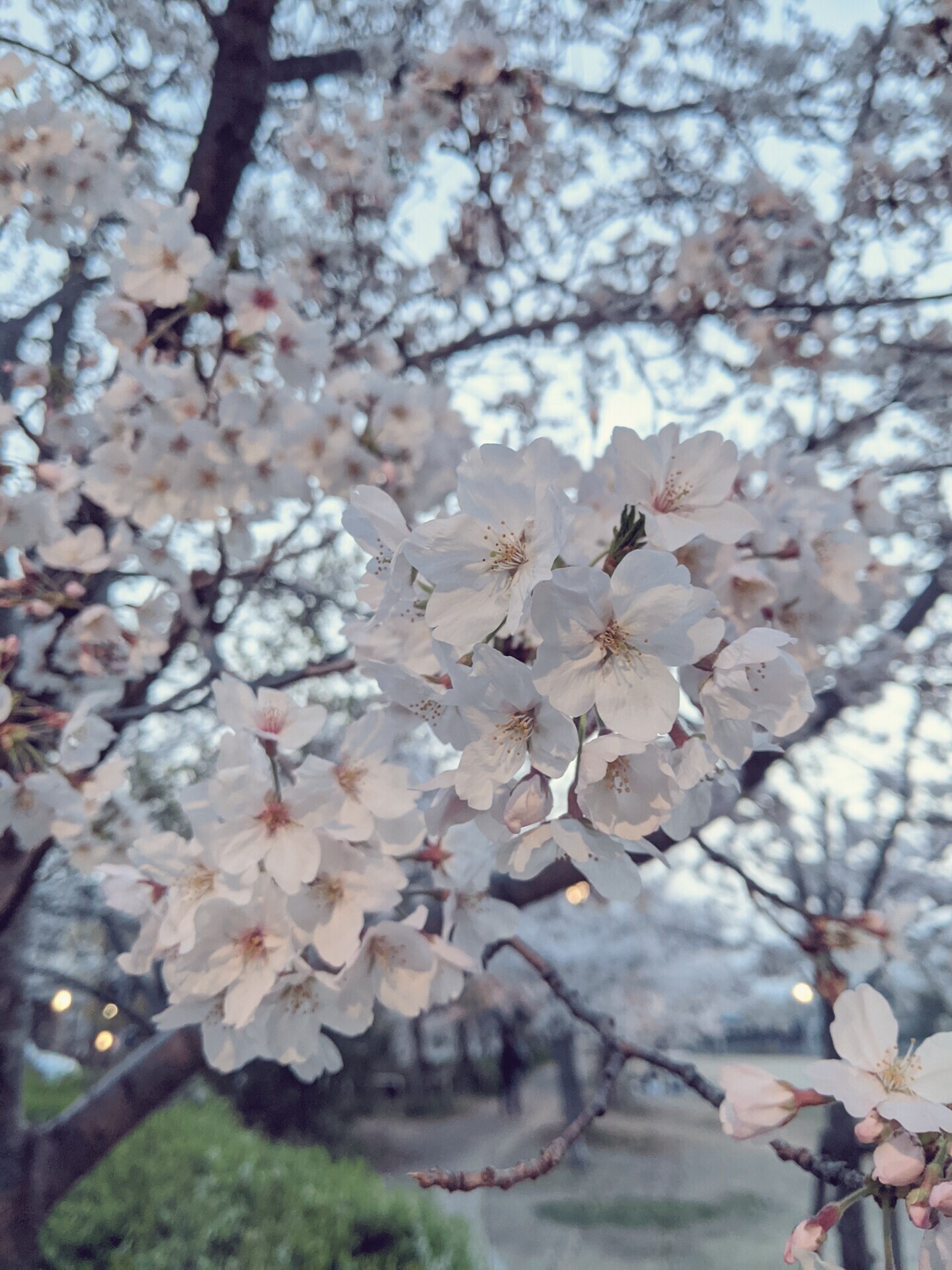 beautyplus_20210330174733014_save