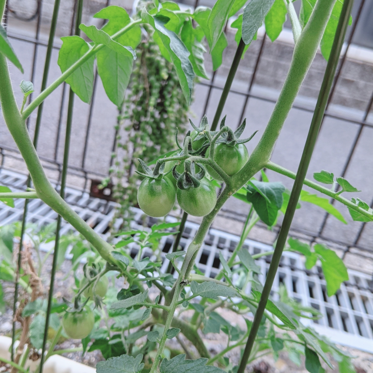 beautyplus_20210627122912619_save