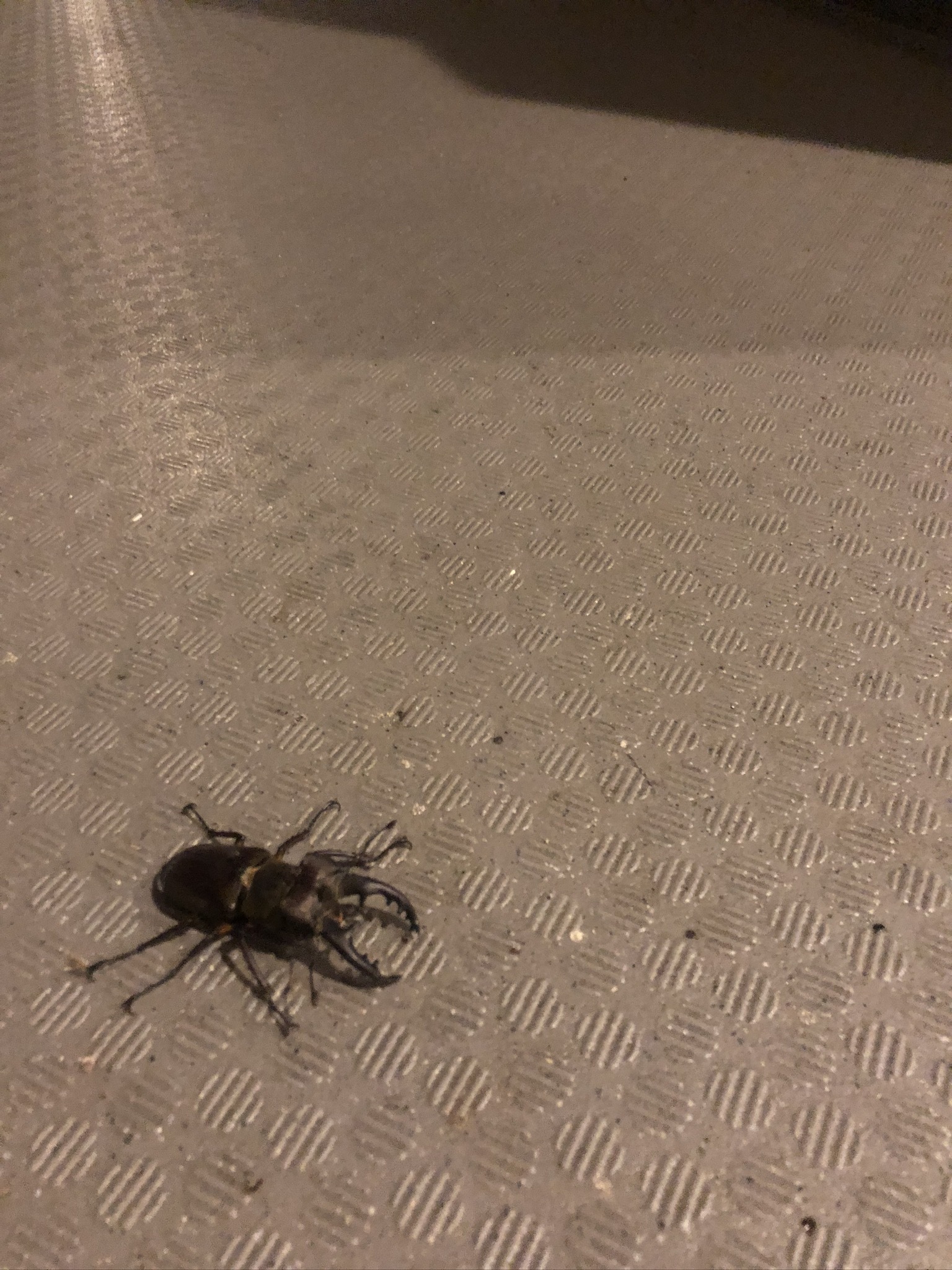 5cd2fdb1-2847-4dfd-8117-e6070b1002fa