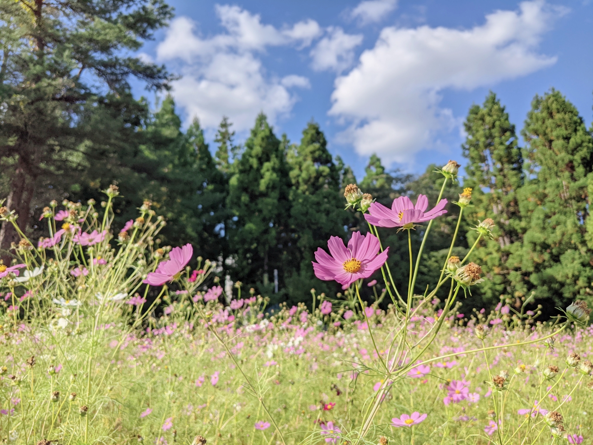 beautyplus_20211011205742804_save