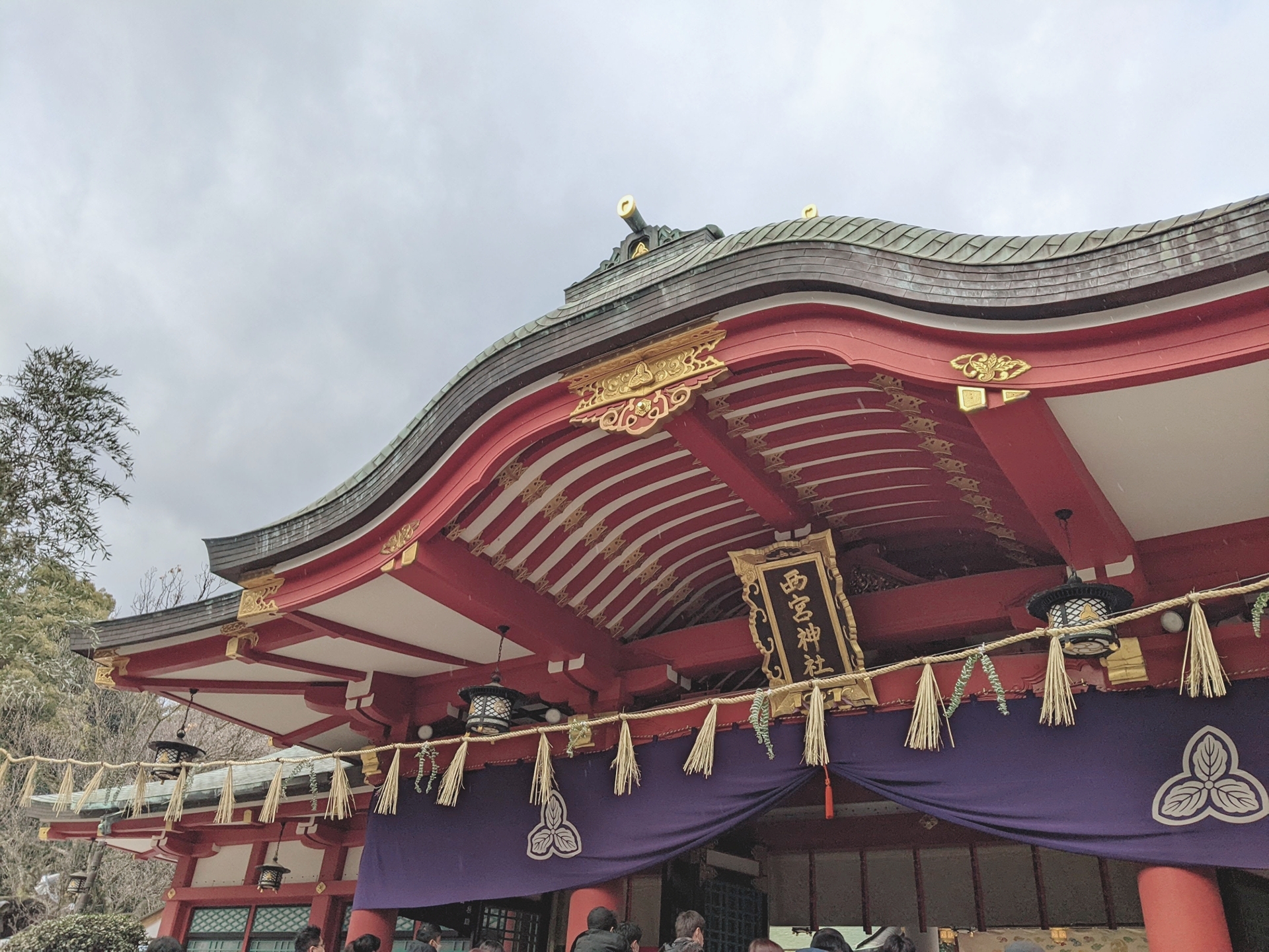 beautyplus_20220113092025538_save