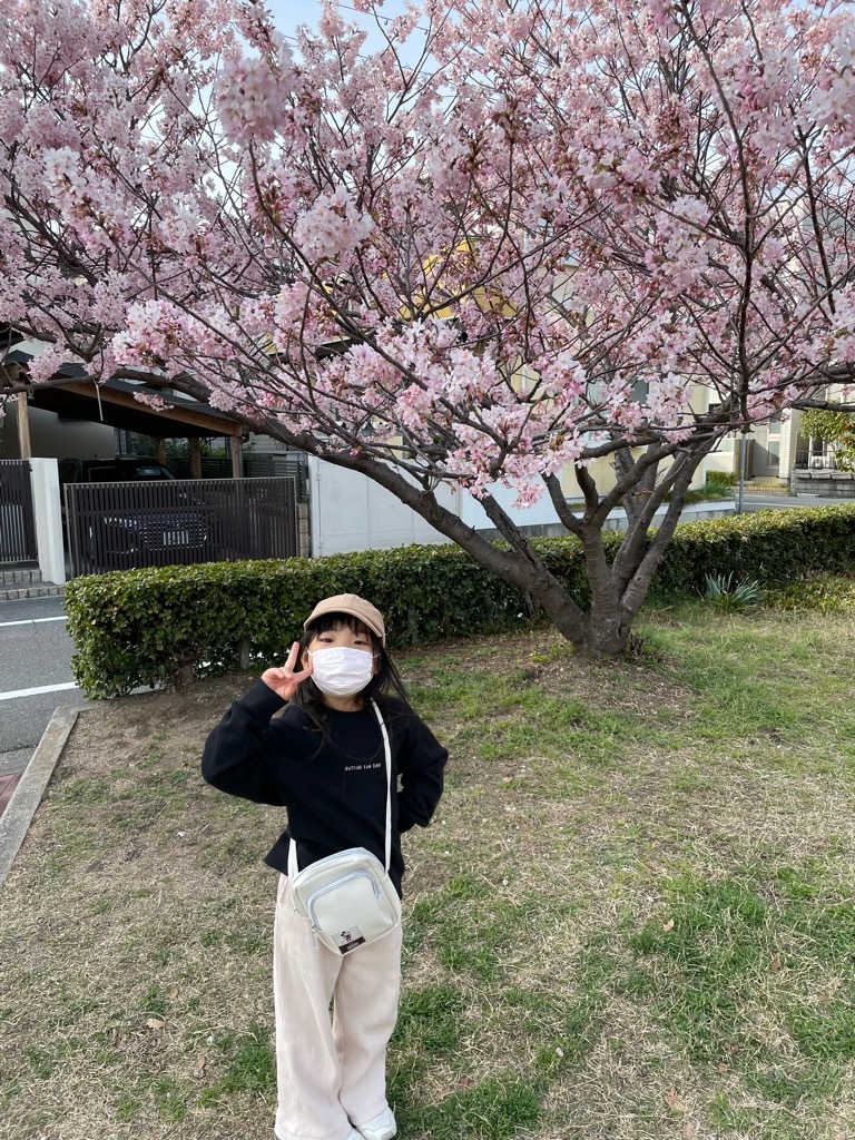 482e9255-0f7d-4871-83d6-f0e30984ab88