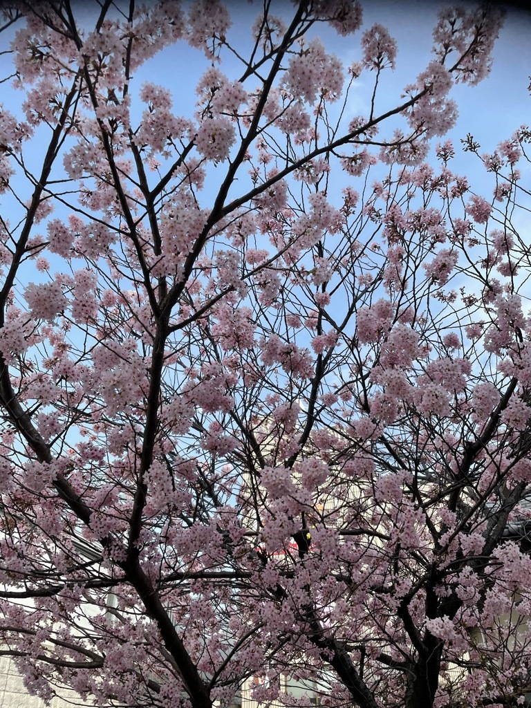 83318fb8-d28d-4f59-9cf8-4422a8f0596e