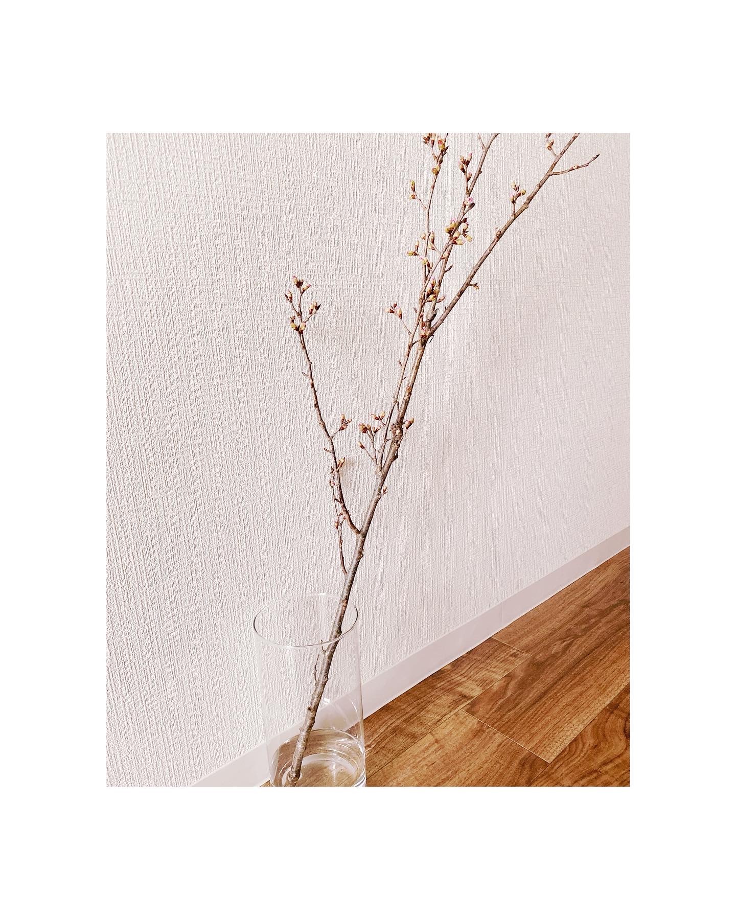 a50bccf3-b299-4bfb-8578-fc4cf2fc49b9