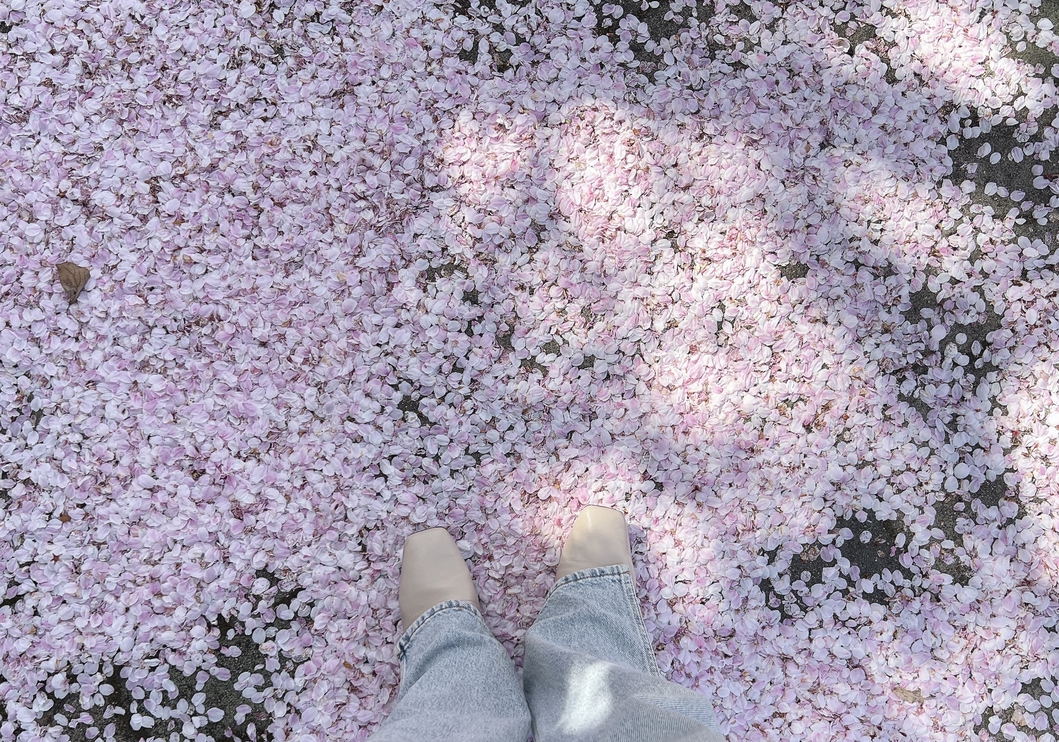 fbaa0b1f-0576-4f94-9e5b-07abf4c9c25b