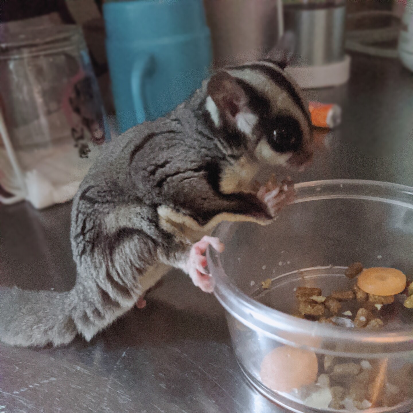 beautyplus_20210418070241701_save