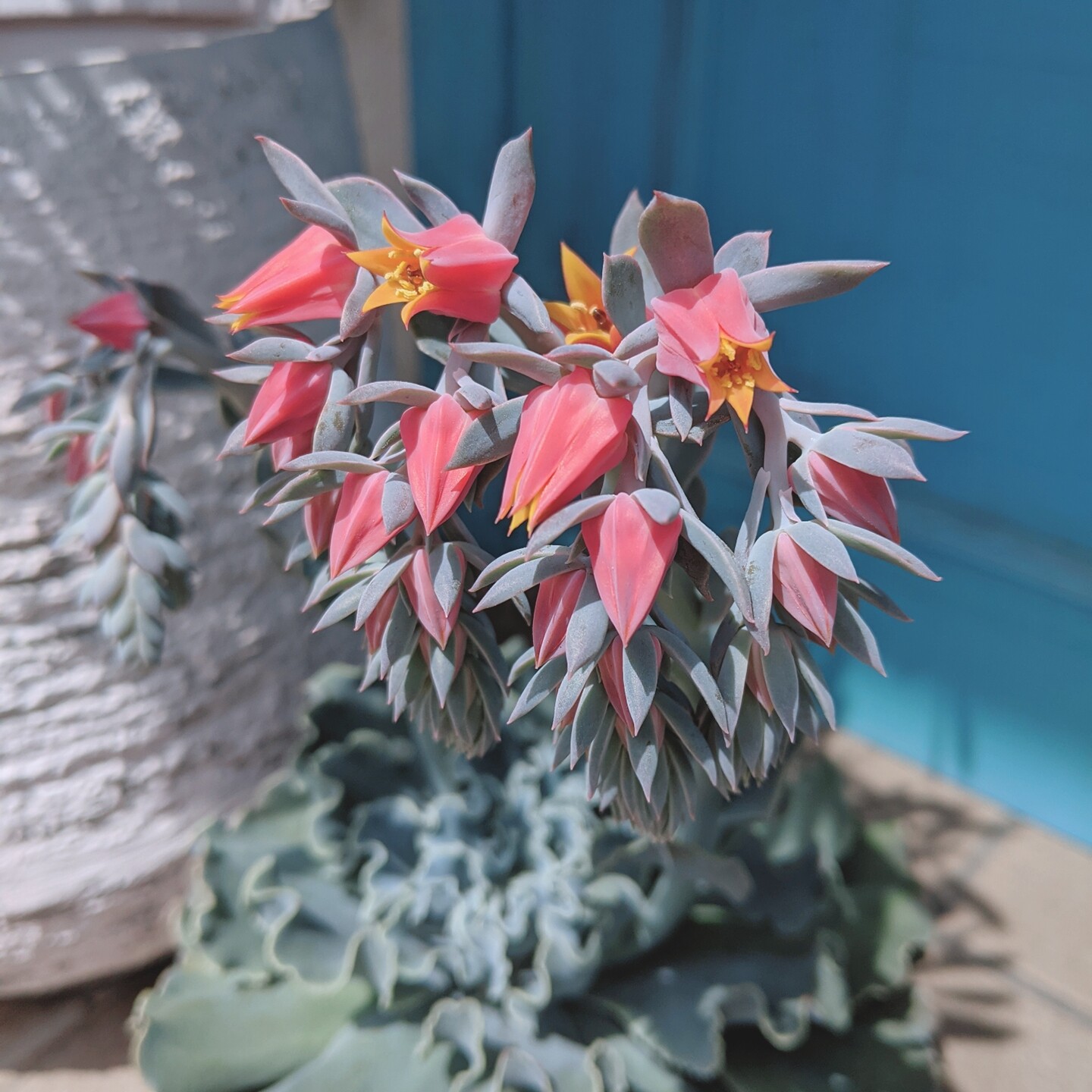 beautyplus_20210511133326785_save