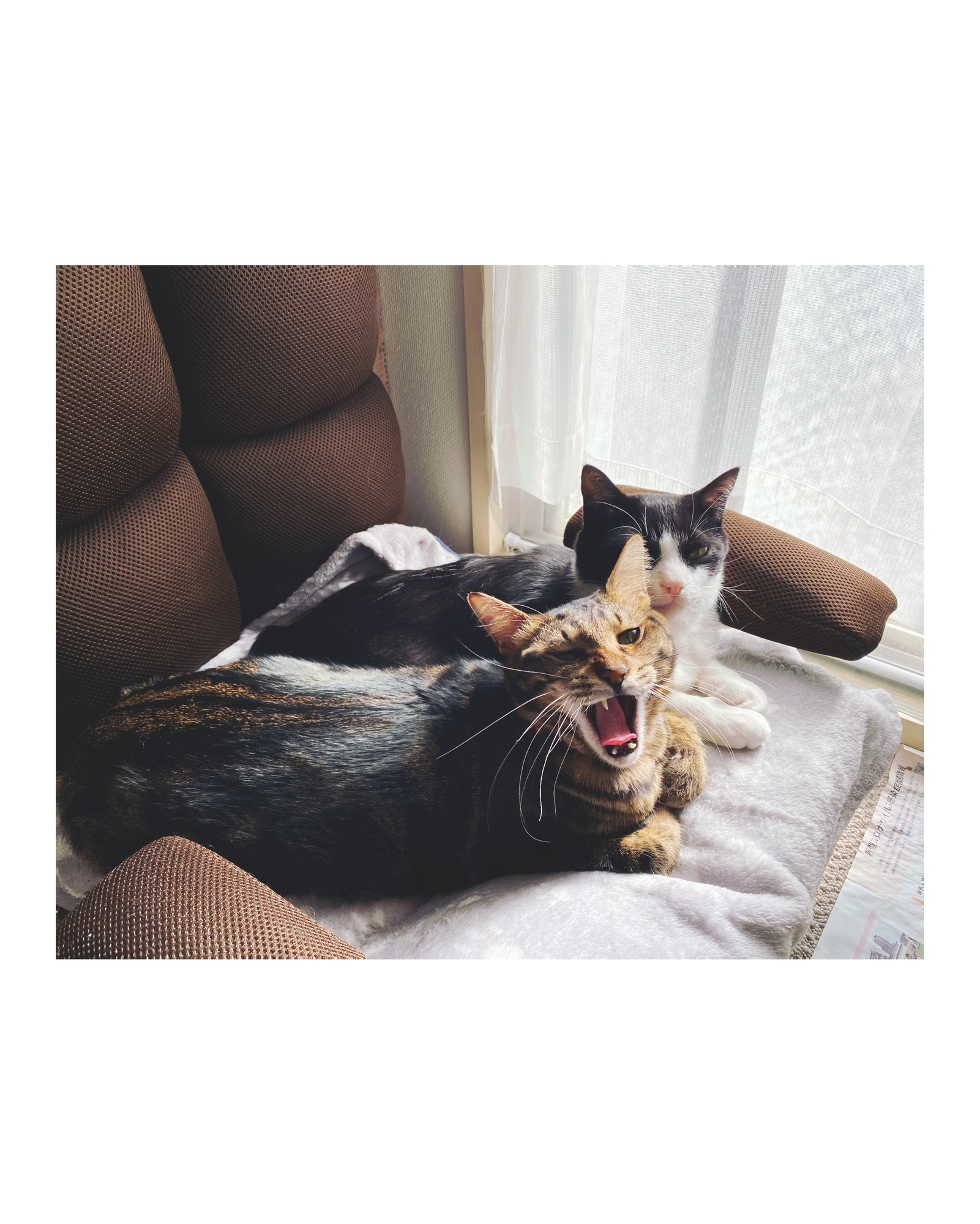 90133528-1e71-4e5c-bda1-91f86ee2fe9f