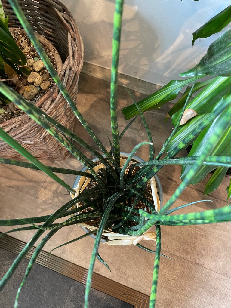 ec1eb2a4-75ef-4c81-82e1-7a96aad185a5