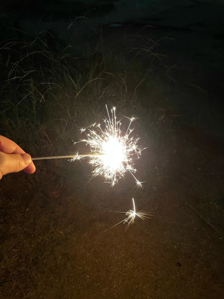 95728302-831b-4572-bc0c-724efa31d379