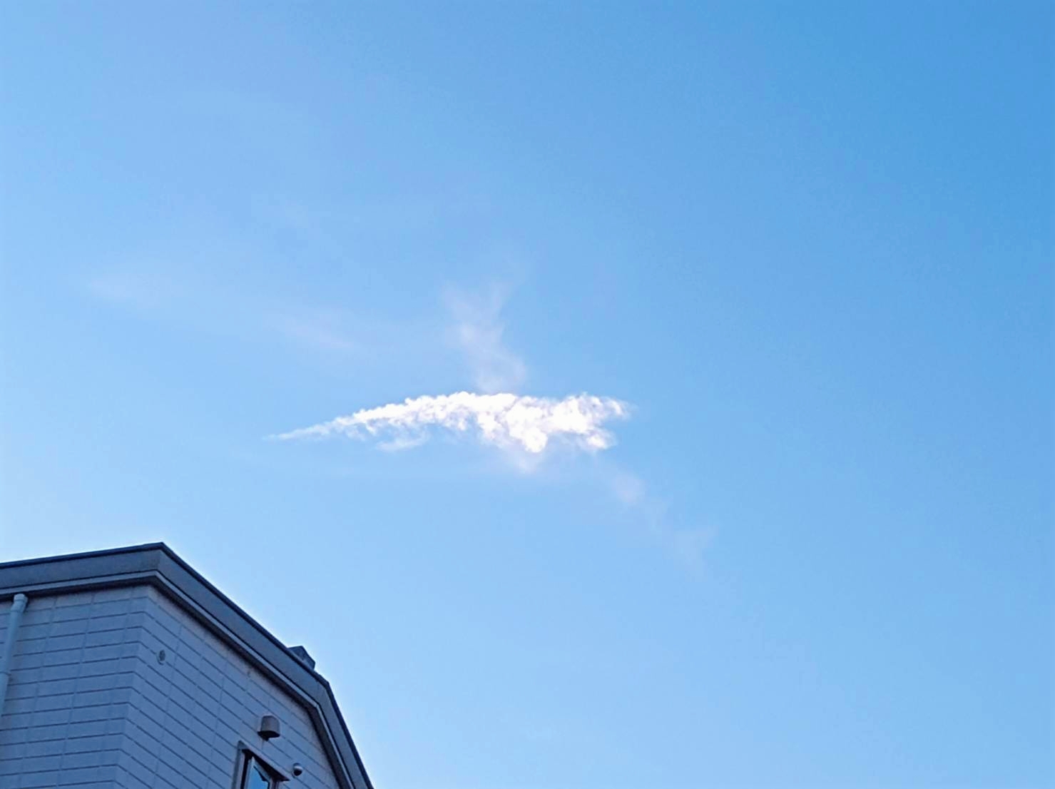 beautyplus_20210902200526669_save